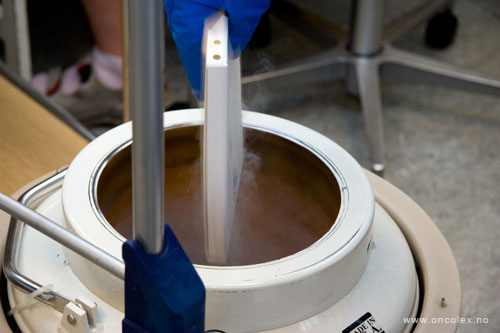 HMAS. Slik utføres tilbakeføring av stamceller, ved kreftbehandling.